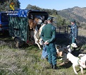 De los 31 perros que se encontraban en el interior del habitáculo murieron 23. Junto con estos ocho perros, también fueron intervenidos otros 11 más que se encontraban en las instalaciones y que se han puesto a disposición de la Autoridad competente en dos núcleos zoológicos autorizados para ello.