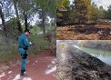 La Guardia Civil, en el marco del ‘Plan de prevención contra los Incendios Forestales’, recuerda que, según contempla el Reglamento sobre Incendios Forestales, para realizar un fuego en una zona catalogada como terreno forestal hay que adoptar una serie de medidas de seguridad, para evitar su propagación. Entre estas medidas aparecen las de formar un cortafuegos en el borde de la zona que se va a quemar de, al menos, dos metros de distancia con  los terrenos colindantes; disponer de útiles de extinción y reservas de agua en cantidad no inferior a 50 litros; no abandonar la vigilancia de la zona quemada hasta que el fuego este completamente apagado; y que hayan transcurrido 12 horas desde que se observen llamas o brasas.