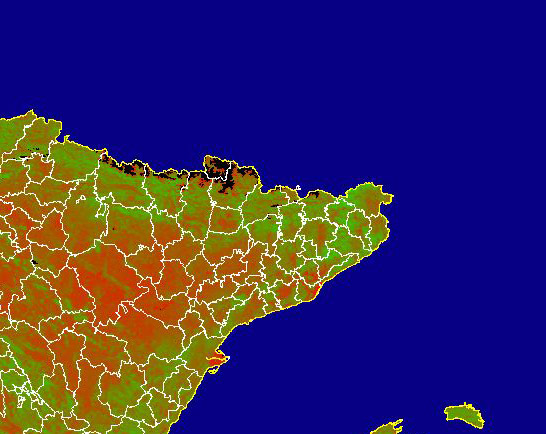 Imagen de NDVI medio mensual: Índices de vegetación medios del mes - Noreste