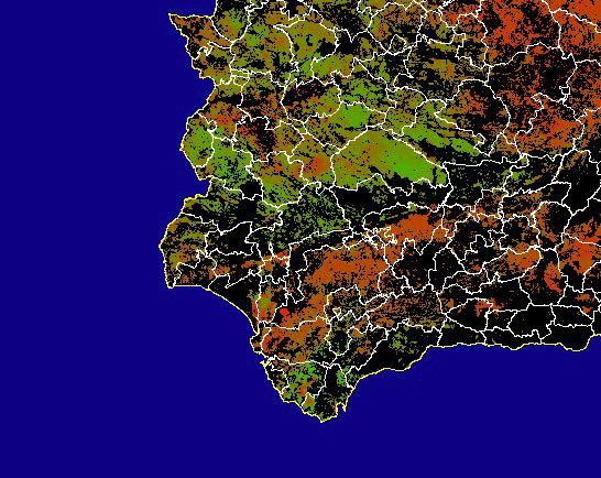 Imagen de NDVI medio secano: Índices de vegetación medios del mes para las zonas de cultivos de secano y pastizales - Suroeste