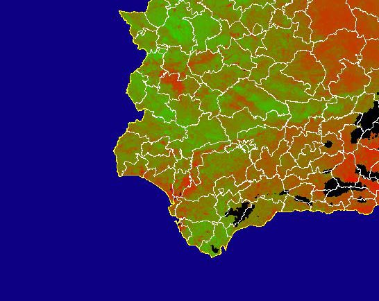 Imagen de NDVI medio mensual: Índices de vegetación medios del mes - Suroeste