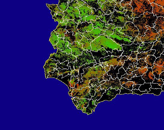 Imagen de NDVI medio secano: Índices de vegetación medios del mes para las zonas de cultivos de secano y pastizales - Suroeste