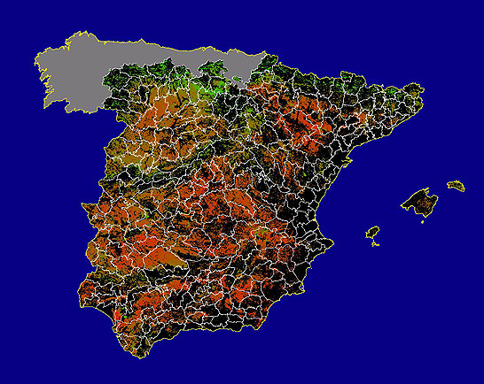 Imagen de NDVI medio secano: Índices de vegetación medios del mes para las zonas de cultivos de secano y pastizales