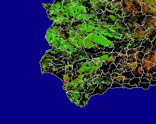 Imagen de NDVI medio secano: Índices de vegetación medios del mes para las zonas de cultivos de secano y pastizales - Suroeste