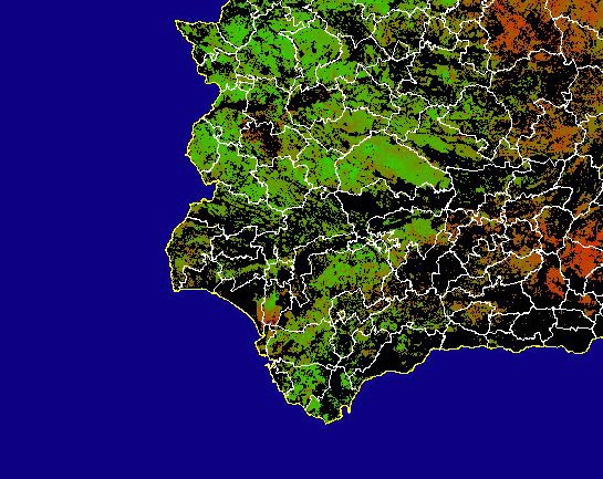 Imagen de NDVI medio secano: Índices de vegetación medios del mes para las zonas de cultivos de secano y pastizales - Suroeste