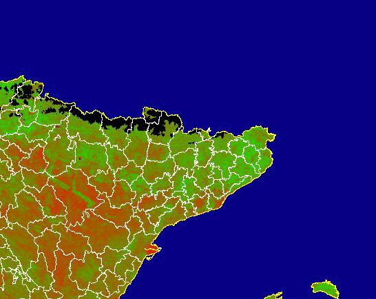 Imagen de NDVI medio mensual: Índices de vegetación medios del mes - Noreste