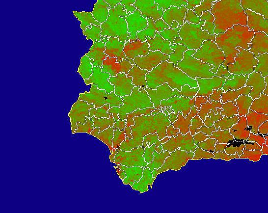 Imagen de NDVI medio mensual: Índices de vegetación medios del mes - Suroeste