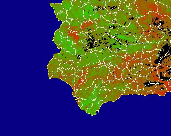 Imagen de NDVI medio mensual: Índices de vegetación medios del mes - Suroeste