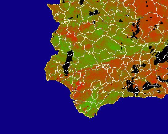 Imagen de NDVI medio mensual: Índices de vegetación medios del mes - Suroeste