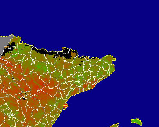 Imagen de NDVI medio mensual: Índices de vegetación medios del mes - Noreste