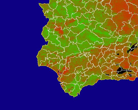 Imagen de NDVI medio mensual: Índices de vegetación medios del mes - Suroeste