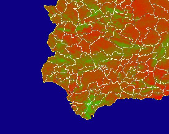 Imagen de NDVI medio mensual: Índices de vegetación medios del mes