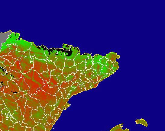 Imagen de NDVI medio mensual: Índices de vegetación medios del mes