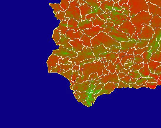 Imagen de NDVI medio mensual: Índices de vegetación medios del mes