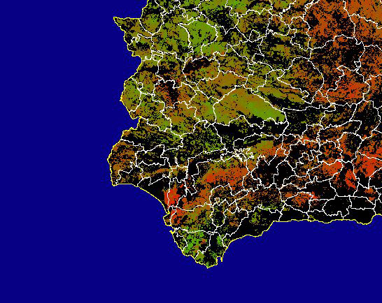 Imagen de NDVI medio secano: Índices de vegetación medios del mes para las zonas de cultivos de secano y pastizales - Suroeste