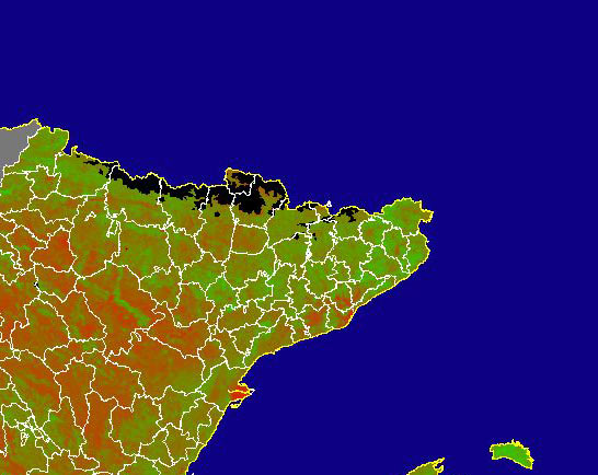 Imagen de NDVI medio mensual: Índices de vegetación medios del mes - Noreste