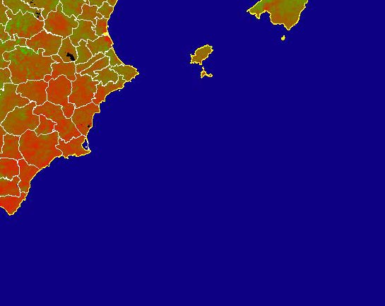 Imagen del NDVI medio mensual: Índices de vegetación medios del mes