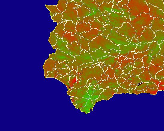 Imagen del NDVI medio mensual: Índices de vegetación medios del mes