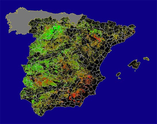 Imagen de Diferencias NDVI: Comparativa entre los índices de vegetación del mes de Enero del año actual y los de la media histórica