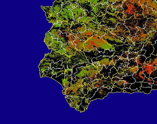 Imagen de las Diferencias acumuladas NDVI: Comparativa entre los índices de vegetación acumulados de enero a mayo (a junio en el mes de julio) del año actual y los de la media histórica