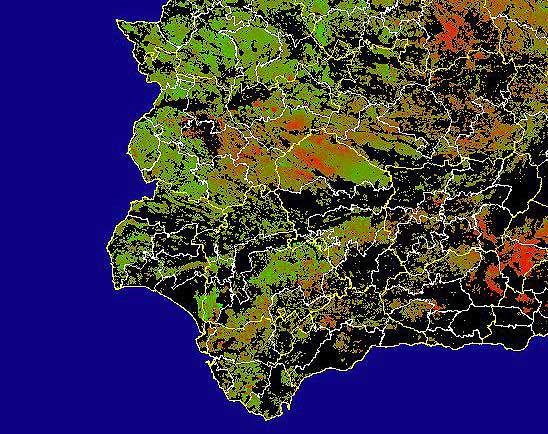 Imagen de Diferencias acumuladas NDVI: Comparativa entre los índices de vegetación acumulados de enero a mayo del año actual y los de la media histórica