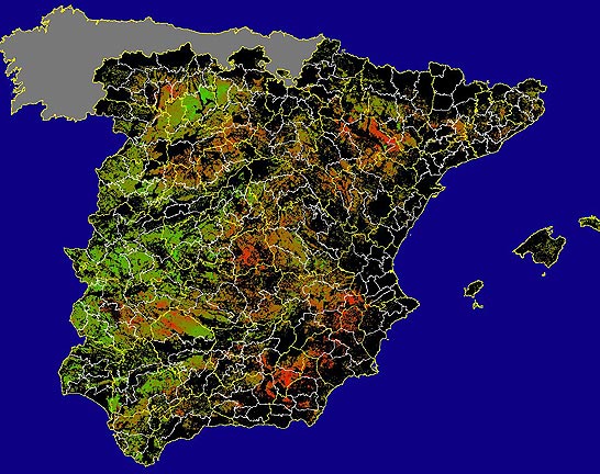 Imagen de las Diferencias acumuladas NDVI: Comparativa entre los índices de vegetación acumulados de enero a mayo del año actual y los de la media histórica