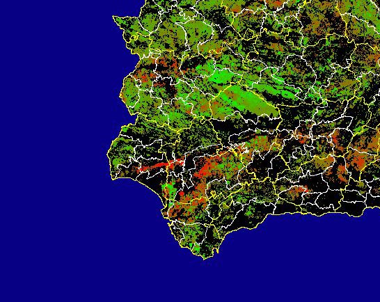 Imagen de Diferencias NDVI: Comparativa entre los índices de vegetación del mes de Enero del año actual y los de la media histórica - Suroeste