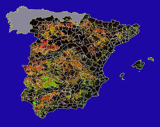 Imagen de Diferencias NDVI: Comparativa entre los índices de vegetación del mes de Enero del año actual y los de la media histórica