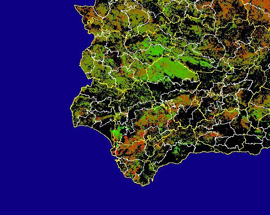 Imagen de Diferencias NDVI: Comparativa entre los índices de vegetación del mes de Febrero del año actual y los de la media histórica - Suroeste