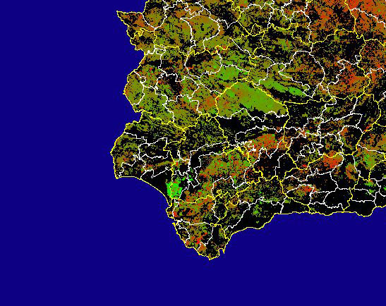 Imagen de Diferencias NDVI: Comparativa entre los índices de vegetación del mes de Marzo del año actual y los de la media histórica - Suroeste