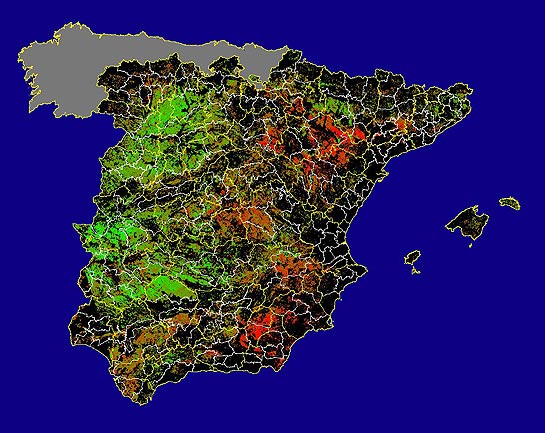 Imagen de las Diferencias NDVI: Comparativa entre los índices de vegetación del mes de Mayo del año actual y los de la media histórica