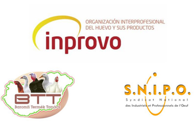 INPROVO concurso programa 2025