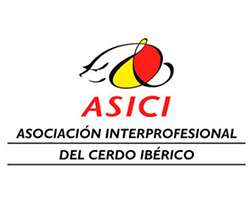 Imagen convocatoria ASICI