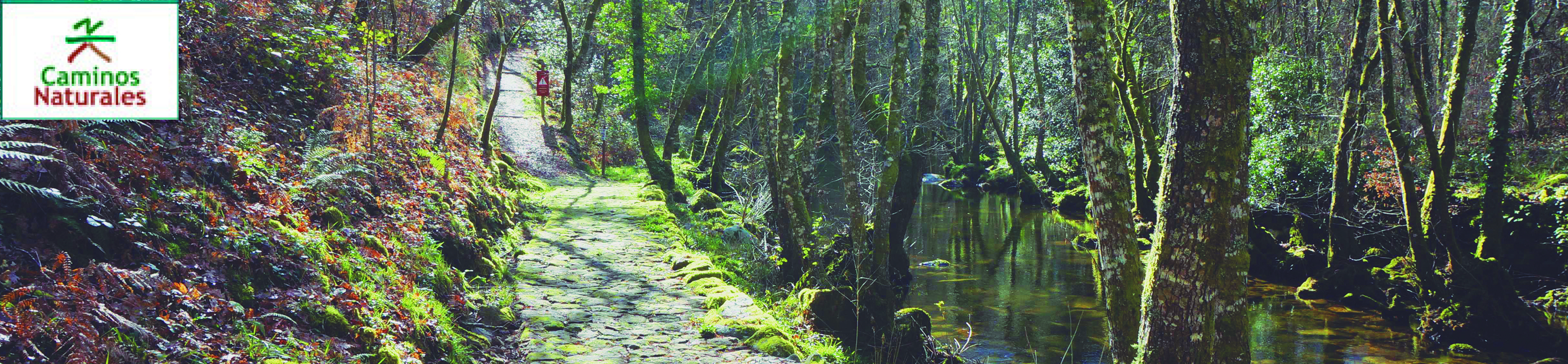 Red de Caminos naturales