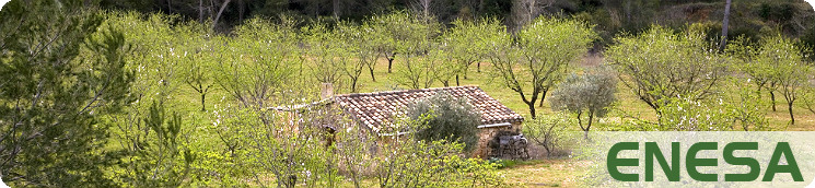 Frutales en Navarra 