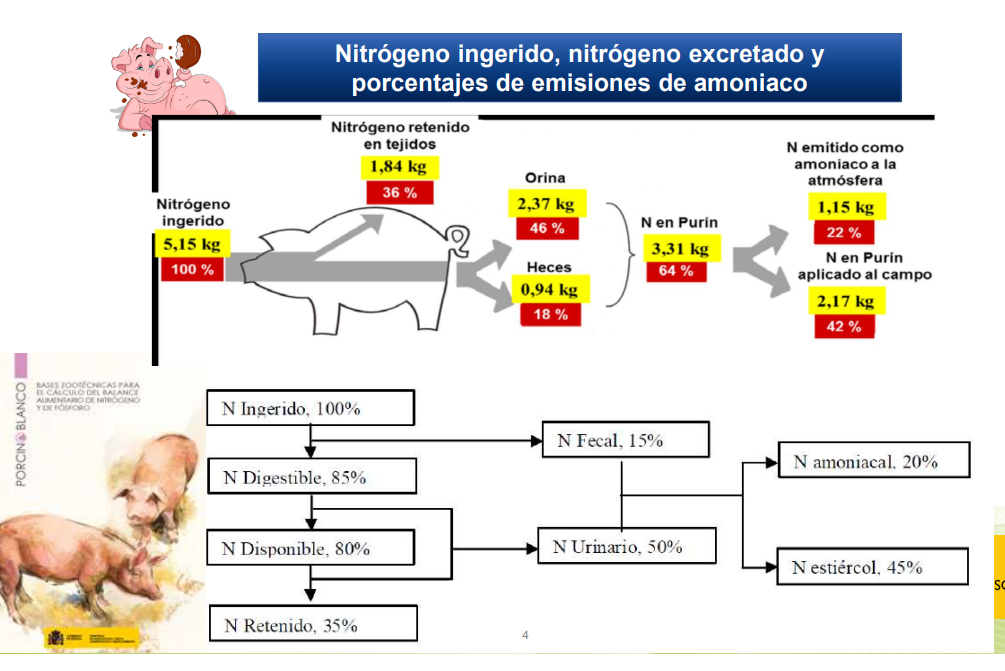 Estimaciones excretas de Nitrógeno en granja