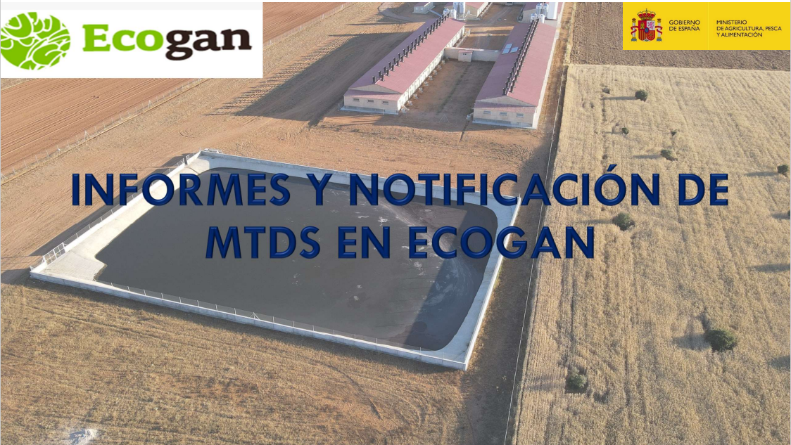 Informes y Notificación MTDs