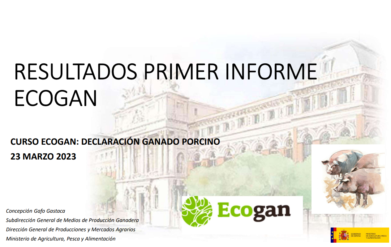 1-Resultados primer informe ECOGAN