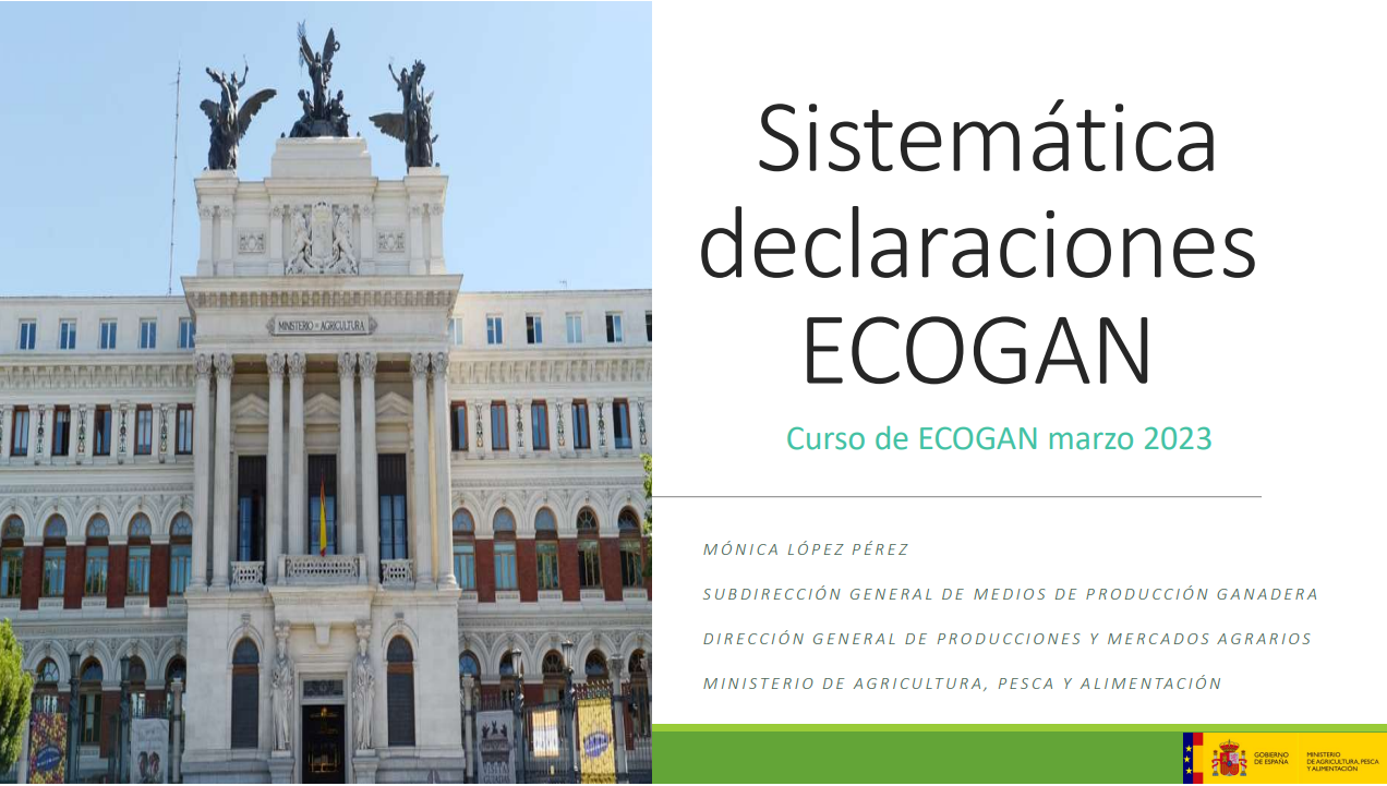 6-Sistemática de declaraciones en ECOGAN