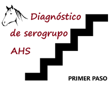 Diagnóstico AHS Primer paso