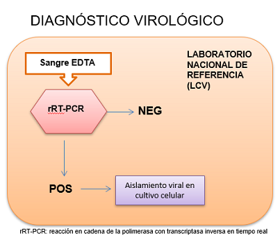 Diagnóstico virológico