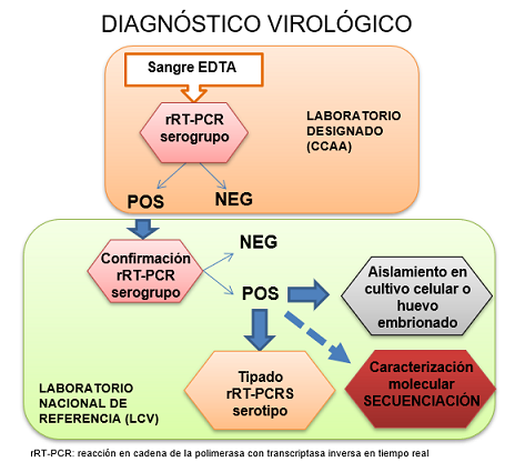 diagnóstico virológico