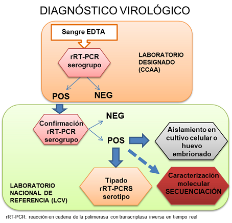 Diagnóstico virológico