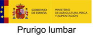 Ministerio de Agricultura pesca y Alimentación (prurigo lumbar)