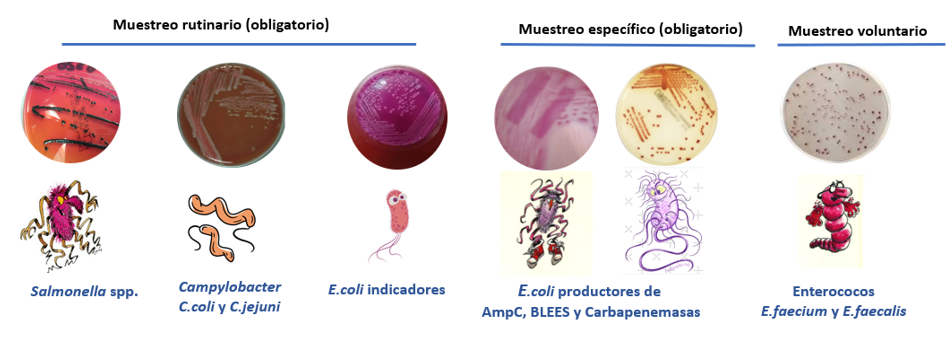 Tipos de muestreo