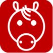 icono equino