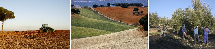 Imágenes de la España rural. Fondo de fotografías de Joaquín Terán