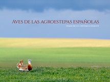 Aves Agroestepa