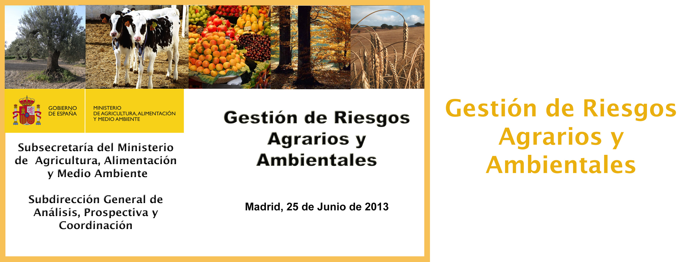 Seminario Riesgos Agrarios y Ambientales