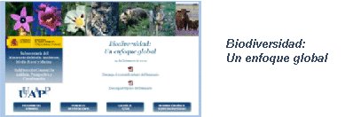 biodiversidad.jpg [201010271350470358]